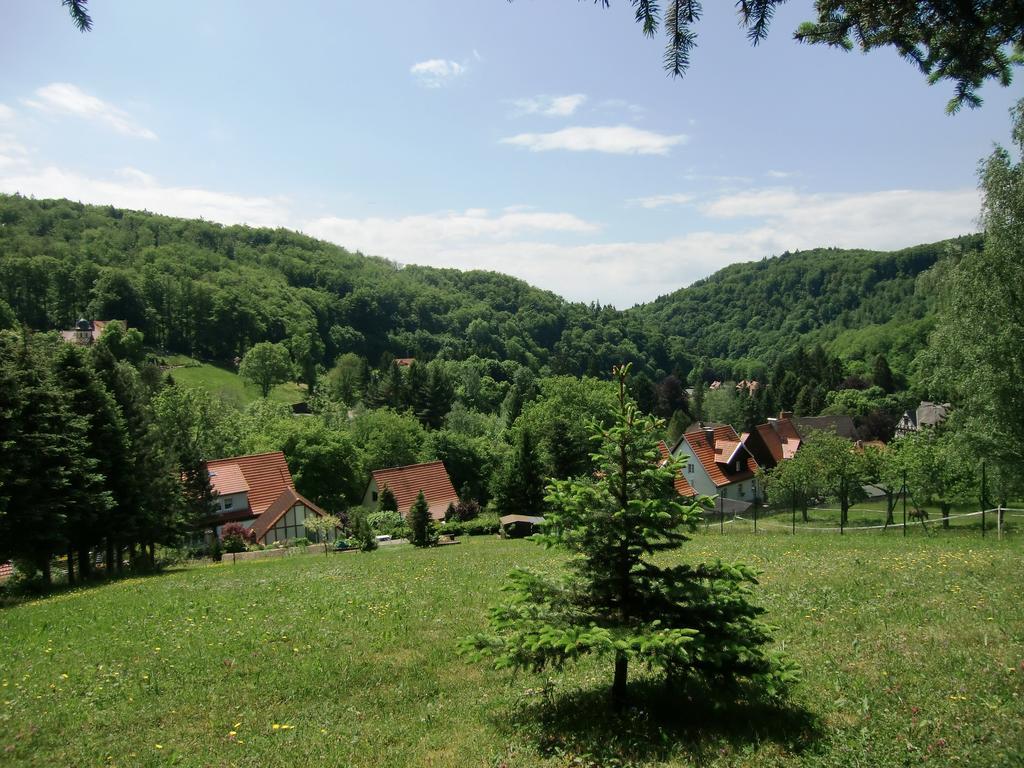 Ferienhaus Haus Am Wald Stolberg  Exterior photo