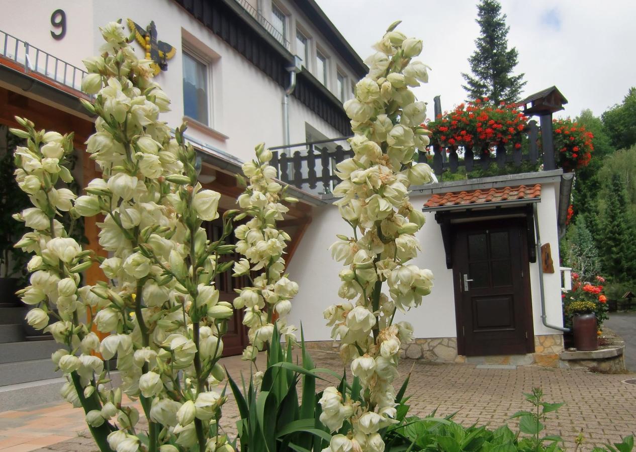 Ferienhaus Haus Am Wald Stolberg  Exterior photo
